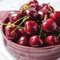 Cherry 'Stella' Bare Root -EcoFlora Sales Shop 2207