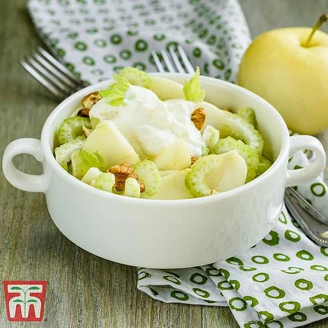 Apple 'Golden Delicious' 6 Apple 'Golden Delicious' - Image 4