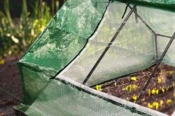 Idooka Green Mesh Garden Polytunnel -EcoFlora Sales Shop Closeup2