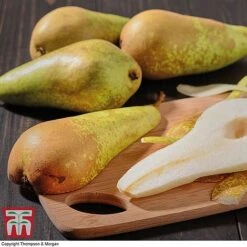 Premium Patio Standard Collection 11 Premium Patio Standard Collection -EcoFlora Sales Shop Conference