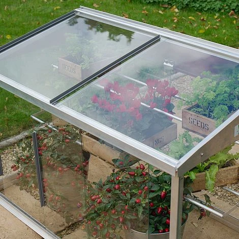 Half Growhouse 7 Half Growhouse - Image 5