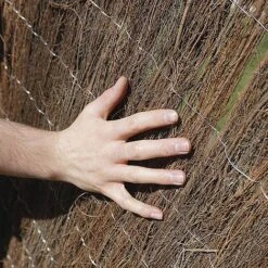 Brushwood Thatch Screen Roll - 1.5X4M(2CM DIAMETER) 13 Brushwood Thatch Screen Roll - 1.5X4M(2CM DIAMETER) -EcoFlora Sales Shop G0894 E684D2FF FA2F D76D 2FFD21D0266B7EBA2