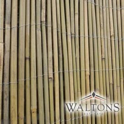 Bamboo Cane Screen Roll - 1.8X4M