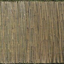 Bamboo Cane Screen Roll - 1.5X4M