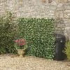 Expandable Artificial Evergreen Laurel Hedge Trellis -EcoFlora Sales Shop G1044201000x1000