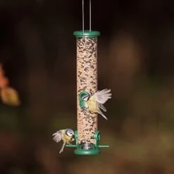 EcoFlora Sales Shop 42 Jacobi Jayne Ring Pull Seed Medium Feeder 4 Port