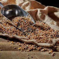 Bird Feeding Station With 4 Bird Feeders -EcoFlora Sales Shop G2531 43