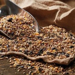 Bird Feeding Station With 4 Bird Feeders -EcoFlora Sales Shop G2537 41