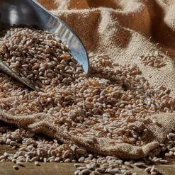 EcoFlora Sales Shop -EcoFlora Sales Shop G2539 4