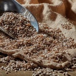 Bird Feeding Station With 4 Bird Feeders -EcoFlora Sales Shop G2539 41