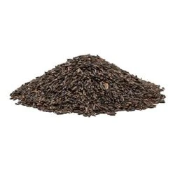 Niger Seed 10 Niger Seed -EcoFlora Sales Shop G2543 2