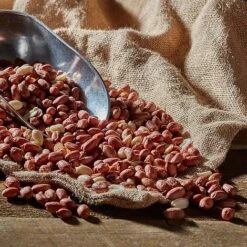 Bird Feeding Station With 4 Bird Feeders -EcoFlora Sales Shop G2549 41