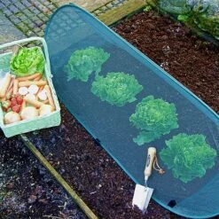 Pop Up Mini Grow Tunnel & Vegetable Bed Cover -EcoFlora Sales Shop GPN100 30PIC1