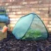 Pop Up Mini Grow Tunnel & Vegetable Bed Cover 1 Pop Up Mini Grow Tunnel & Vegetable Bed Cover -EcoFlora Sales Shop GPN100 30PIC2
