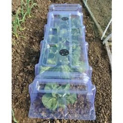 Mini Greenhouse Cloche -EcoFlora Sales Shop GREE AWW2605 B h