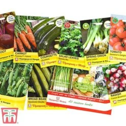 Grow Your Own Bumper Pack 8 Grow Your Own Bumper Pack -EcoFlora Sales Shop GROW WKB9279 C