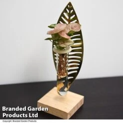 Hydroponic Collection On Display Stand -EcoFlora Sales Shop HYDR COLLDISPL T49399