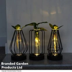 Hydroponic Collection In Turin Glass -EcoFlora Sales Shop HYDR LEDTURING T49876