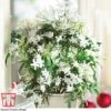 Jasmine On A Hoop -EcoFlora Sales Shop JASM W41143 A1
