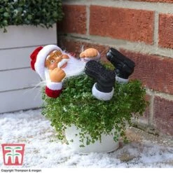 'Mind Your Own Business' Santa - Gift