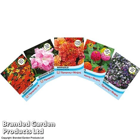Nurserymans Choice Perennial Mix 36 Plugs + 5 Seeds 5 Nurserymans Choice Perennial Mix 36 Plugs + 5 Seeds - Image 3