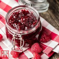 Raspberry Full Season Collection British Bred -EcoFlora Sales Shop RASP RECIPE CUL 2