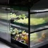 Sprout S14 - Climate Controlled Mini Greenhouse -EcoFlora Sales Shop S14dark