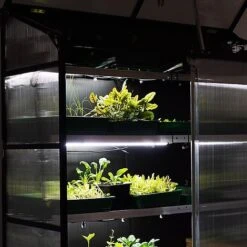 Sprout S24 - Climate Controlled Mini Greenhouse -EcoFlora Sales Shop S24lightshelves