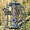 The Nuttery Squirrel-Proof Compact Seed Feeder Ocean Green -EcoFlora Sales Shop SEED COMPACTFE S47632