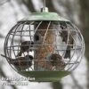 The Nuttery Squirrel-Proof Helix Seed Feeder Celadon Green -EcoFlora Sales Shop SEED HELIXFEED S47622