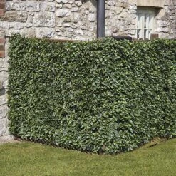 Artificial Laurel Fence 11 Artificial Laurel Fence -EcoFlora Sales Shop WEBG37126