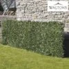 Artificial Laurel Fence -EcoFlora Sales Shop WEBG37128