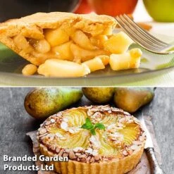 Fruit Tree Staple Duo 7 Fruit Tree Staple Duo -EcoFlora Sales Shop appe