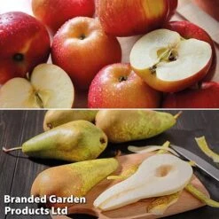 Fruit Tree Staple Duo 6 Fruit Tree Staple Duo -EcoFlora Sales Shop appe2