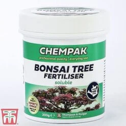 Bonsai Ligustrum -EcoFlora Sales Shop bonsai feed1