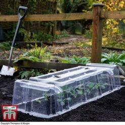 Mini Greenhouse Cloche -EcoFlora Sales Shop cloche32