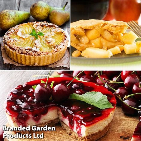 Mini Orchard Pie Trio 4 Mini Orchard Pie Trio - Image 2