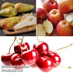 Mini Orchard Pie Trio 7 Mini Orchard Pie Trio -EcoFlora Sales Shop fruit3b