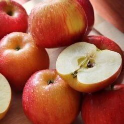 Apple 'Family Apple Tree' -EcoFlora Sales Shop national apple day braeburn