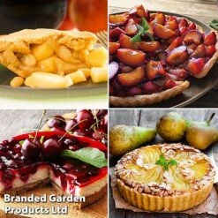 Mini Orchard Collection -EcoFlora Sales Shop pie1