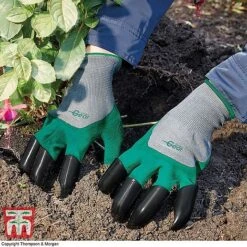 Mini Greenhouse Cloche -EcoFlora Sales Shop z GARD KA8679 A1