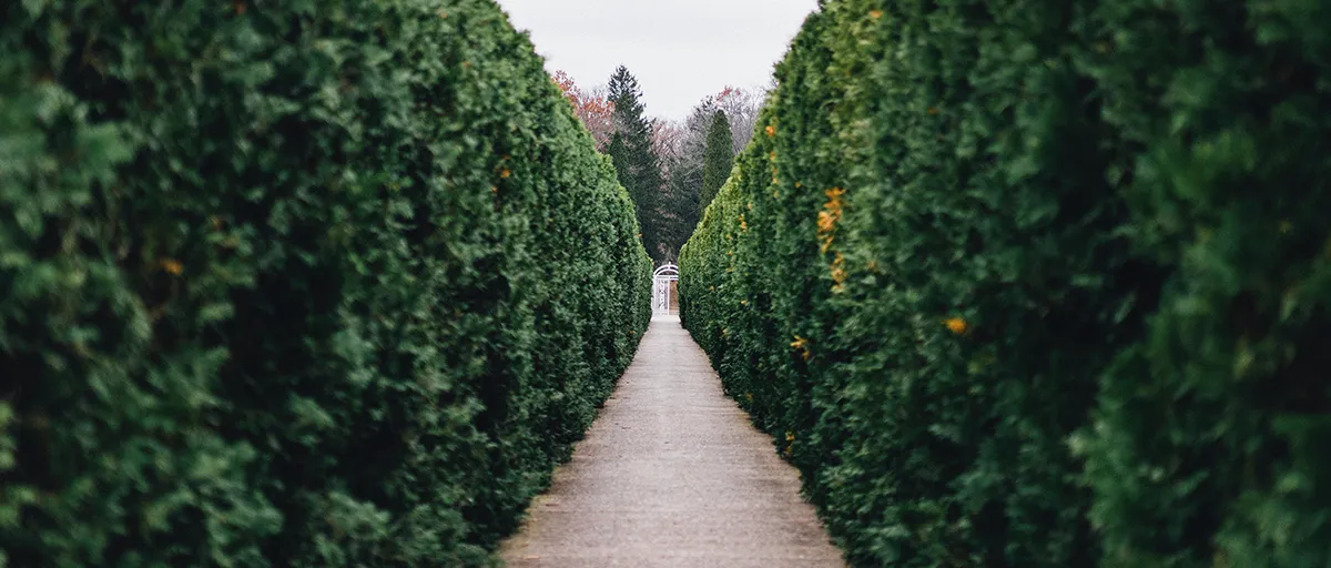 EcoFlora Sales Shop -EcoFlora Sales Shop banner912